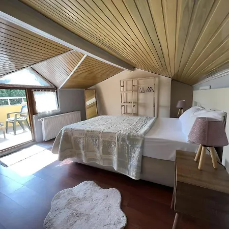 Villa Private With Pool & Large Green Garden , Close To The Centre And Beaches !